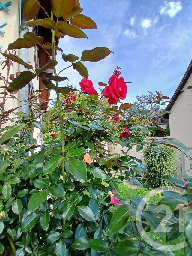 maison à vendre - 5 pièces - 109.67 m2 - LA CHAPELLE LONGUEVILLE - 27 - HAUTE-NORMANDIE - Century 21 Rive Gauche Immobilier